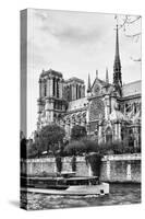 Bateau Mouche des Vedettes de Paris - Notre Dame Cathedral - Paris - France-Philippe Hugonnard-Stretched Canvas