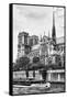 Bateau Mouche des Vedettes de Paris - Notre Dame Cathedral - Paris - France-Philippe Hugonnard-Framed Stretched Canvas