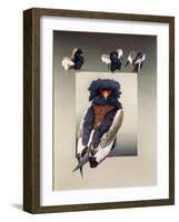 Bateleur (African Eagle)-Harro Maass-Framed Giclee Print