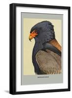 Bateleur Eagle-Louis Agassiz Fuertes-Framed Art Print