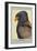 Bateleur Eagle-Louis Agassiz Fuertes-Framed Art Print