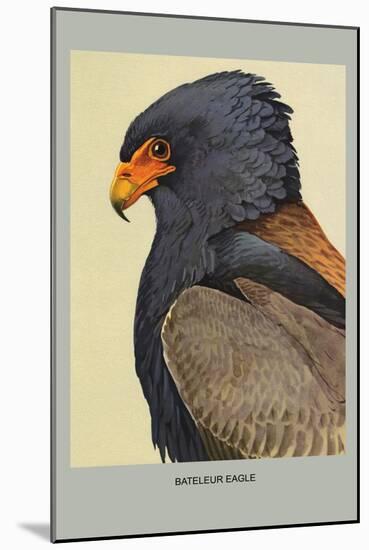 Bateleur Eagle-Louis Agassiz Fuertes-Mounted Art Print