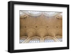 Bath Abbey Ceiling, Bath, Avon and Somerset, England, United Kingdom, Europe-Matthew Williams-Ellis-Framed Photographic Print