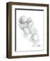 Bath Cotton Balls-Matthew Piotrowicz-Framed Art Print