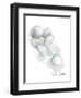 Bath Cotton Balls-Matthew Piotrowicz-Framed Art Print