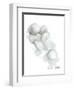 Bath Cotton Balls-Matthew Piotrowicz-Framed Art Print