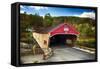 Bath Covered Bridge, New Hampshire-George Oze-Framed Stretched Canvas