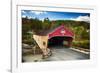 Bath Covered Bridge, New Hampshire-George Oze-Framed Photographic Print