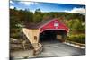 Bath Covered Bridge, New Hampshire-George Oze-Mounted Photographic Print