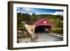 Bath Covered Bridge, New Hampshire-George Oze-Framed Photographic Print