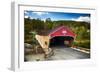 Bath Covered Bridge, New Hampshire-George Oze-Framed Photographic Print