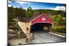 Bath Covered Bridge, New Hampshire-George Oze-Mounted Photographic Print