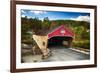 Bath Covered Bridge, New Hampshire-George Oze-Framed Photographic Print