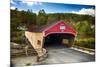 Bath Covered Bridge, New Hampshire-George Oze-Mounted Photographic Print