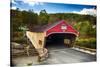 Bath Covered Bridge, New Hampshire-George Oze-Stretched Canvas