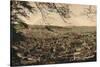 Bath from Beechen Cliff, C1925-null-Stretched Canvas
