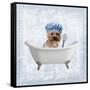 Bath Giggles 4-Marcus Prime-Framed Stretched Canvas