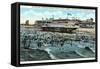 Bath House and Beach, Galveston, Texas-null-Framed Stretched Canvas