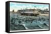 Bath House and Beach, Galveston, Texas-null-Framed Stretched Canvas