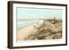 Bath House and Power House, Del Mar, California-null-Framed Art Print