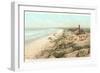 Bath House and Power House, Del Mar, California-null-Framed Art Print