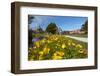 Bath House (Rotorua Museum), and Blue Baths, Government Gardens, Rotorua, North Island, New Zealand-David Wall-Framed Photographic Print