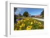 Bath House (Rotorua Museum), and Blue Baths, Government Gardens, Rotorua, North Island, New Zealand-David Wall-Framed Photographic Print