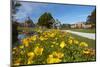 Bath House (Rotorua Museum), and Blue Baths, Government Gardens, Rotorua, North Island, New Zealand-David Wall-Mounted Photographic Print