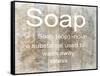 Bath Soap-Sheldon Lewis-Framed Stretched Canvas