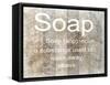 Bath Soap-Sheldon Lewis-Framed Stretched Canvas