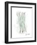 Bath Swabs-Matthew Piotrowicz-Framed Art Print