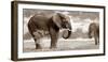 Bath Time-Jorge Llovet-Framed Art Print