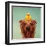 Bath Time-Lucia Heffernan-Framed Art Print