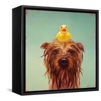 Bath Time-Lucia Heffernan-Framed Stretched Canvas