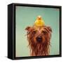 Bath Time-Lucia Heffernan-Framed Stretched Canvas