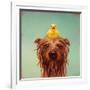 Bath Time-Lucia Heffernan-Framed Art Print