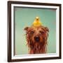 Bath Time-Lucia Heffernan-Framed Art Print