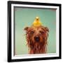 Bath Time-Lucia Heffernan-Framed Art Print