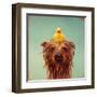 Bath Time-Lucia Heffernan-Framed Art Print