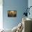 Bath Time-Carl Vilhelm Meyer-Framed Stretched Canvas displayed on a wall