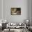 Bath Time-Federico Mazzotta-Framed Giclee Print displayed on a wall