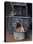 Bath Time-Don Engler-Stretched Canvas