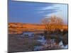 Bathed in Sunset Light the Calamus River in Loup County, Nebraska, USA-Chuck Haney-Mounted Premium Photographic Print