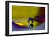 Bathed in Yellow-Heidi Westum-Framed Photographic Print