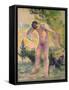 Bather Drying Himself at St. Tropez, 1893-Henri Edmond Cross-Framed Stretched Canvas