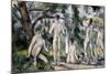 Bathers, 1890-1894-Paul Cézanne-Mounted Giclee Print