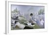 Bathers at Asnieres-Georges Seurat-Framed Giclee Print