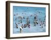 Bathers at Tamarama, Sydney, Australia-Robert Francis-Framed Photographic Print