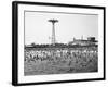 Bathers Enjoying Coney Island Beaches. Parachute Ride and Steeplechase Park Visible in the Rear-Margaret Bourke-White-Framed Photographic Print