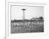 Bathers Enjoying Coney Island Beaches. Parachute Ride and Steeplechase Park Visible in the Rear-Margaret Bourke-White-Framed Photographic Print